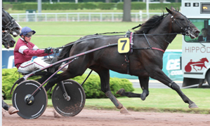 Classement après la 1ère étape à Wolvega (Pays-Bas) Quinoa12