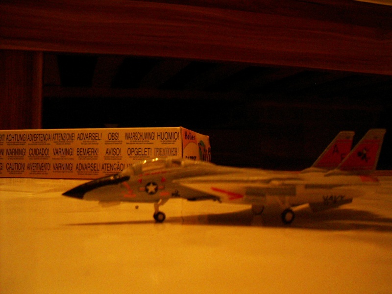 premiere maquette F-14 1/144 Imgp4714