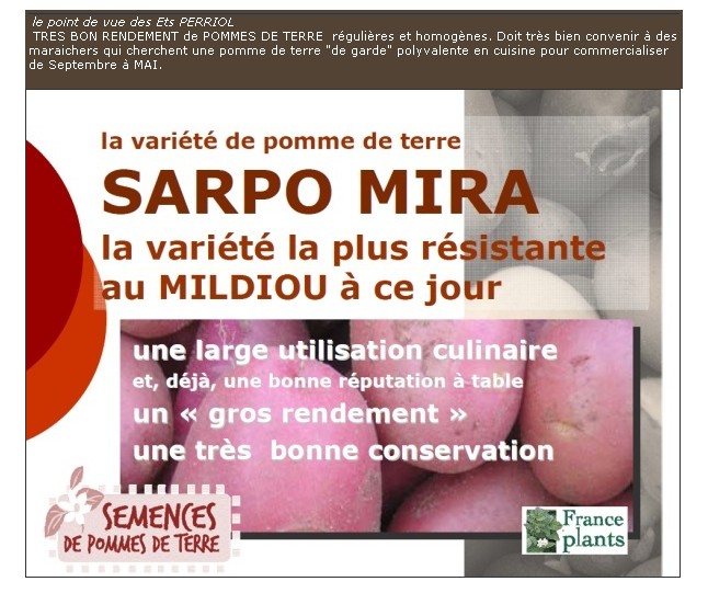 Tout savoir de la pomme de terre ... Sarp_i10