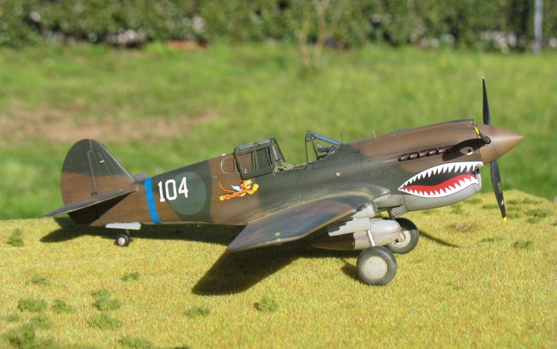 P-40 E "Flying Tigers"  Img_4511