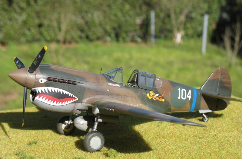 P-40 E "Flying Tigers"  Img_4512