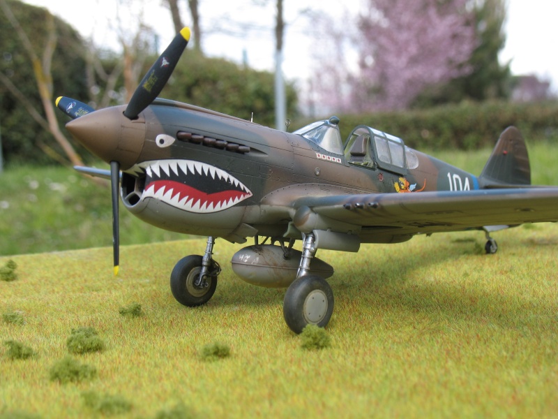 P-40 E "Flying Tigers"  Img_4515