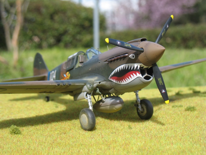 P-40 E "Flying Tigers"  Img_4516