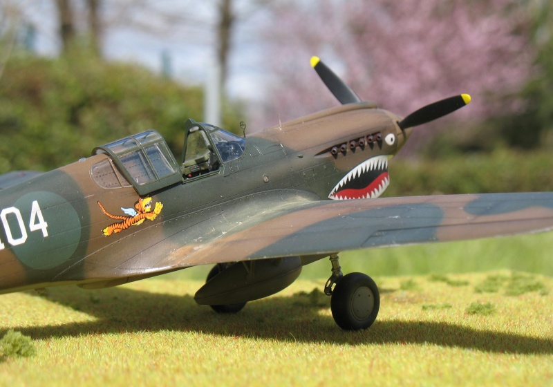 P-40 E "Flying Tigers"  Img_4520