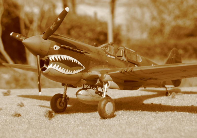 P-40 E "Flying Tigers"  Img_4526