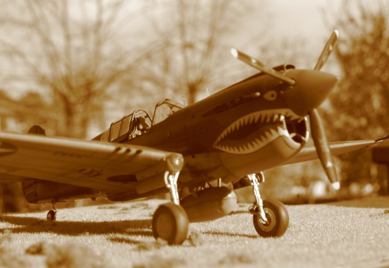 P-40 E "Flying Tigers"  Img_4527