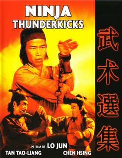 Ninja Thunderkicks (Tan Tao Liang) (1979) Ninja_13