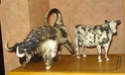 Andre Loret, Sidmouth Pottery, Devon 021a10