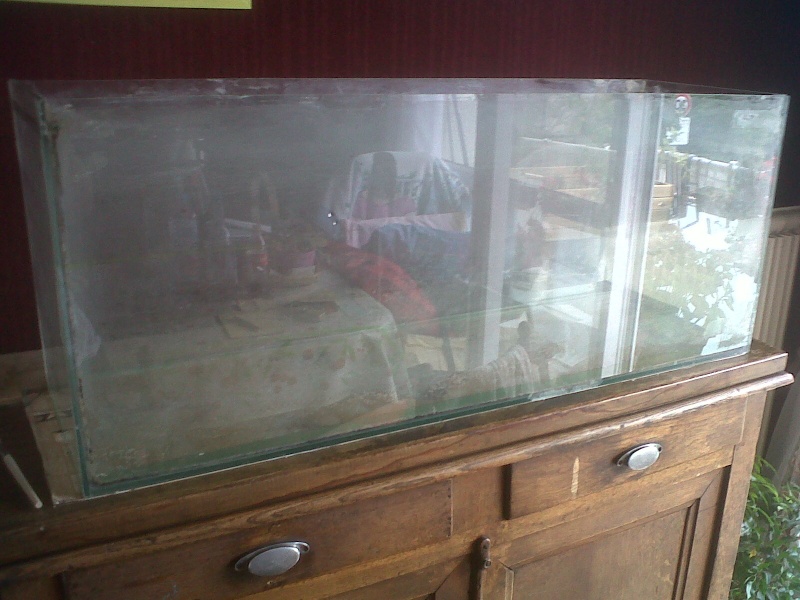 Projet aquaterrarium Img-2011