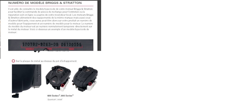 (RESOLU) quantité d'huile dans  un moteur briggs et stratton  - Page 2 311