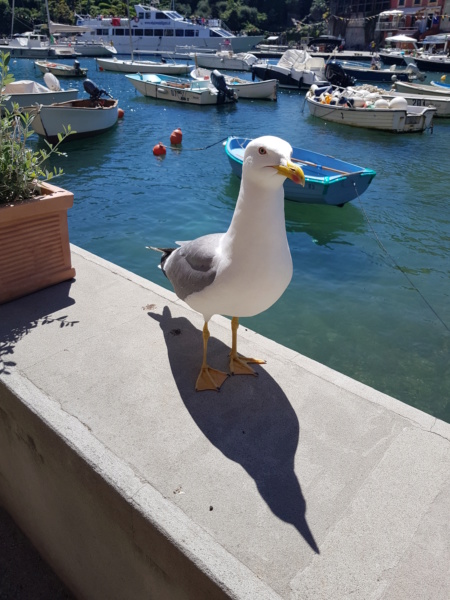 A la découverte des Cinque terre 20190555