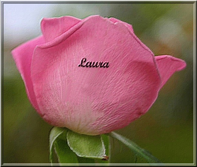 Notre princesse Laura Laura-10