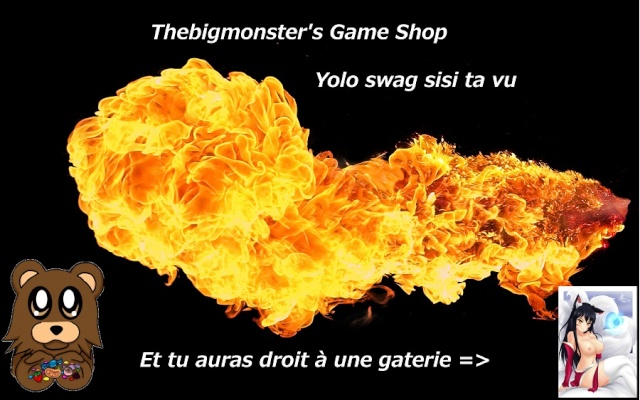 Boutique de jeux vidéo de Thebigmonster26 Thebig12