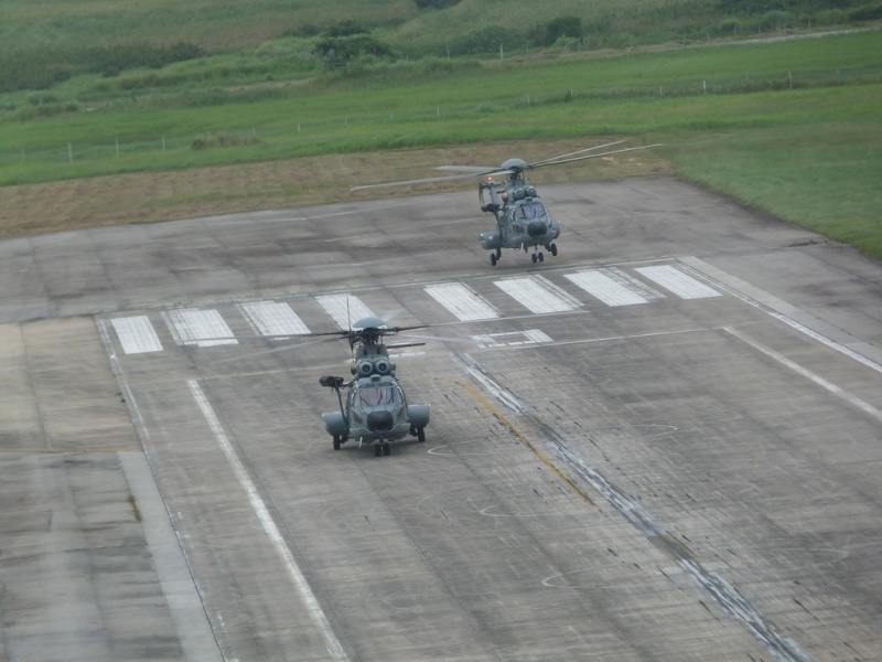 Armée Brésilienne/Brazilian Armed Forces/Forças Armadas Brasileiras - Page 19 Bra0310