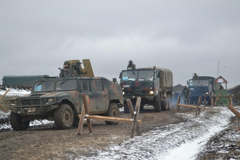 Armée Roumaine/Romanian Armed Forces/Forţele Armate Române - Page 6 Rom0510