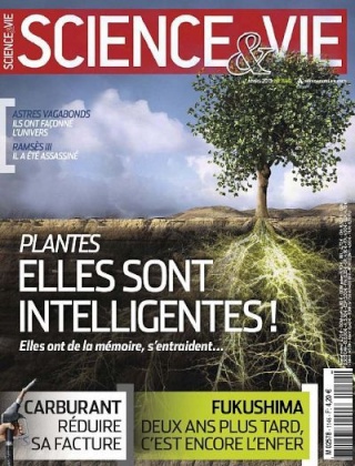 Science & vie n°1146 (Mars 2013) Scienc10