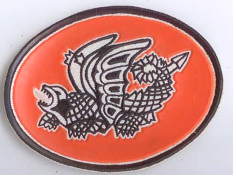 Please help to identify some patches and badges. 810