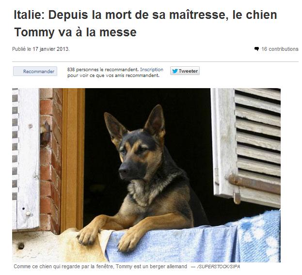 Les NEWS INSOLITES Insoli12