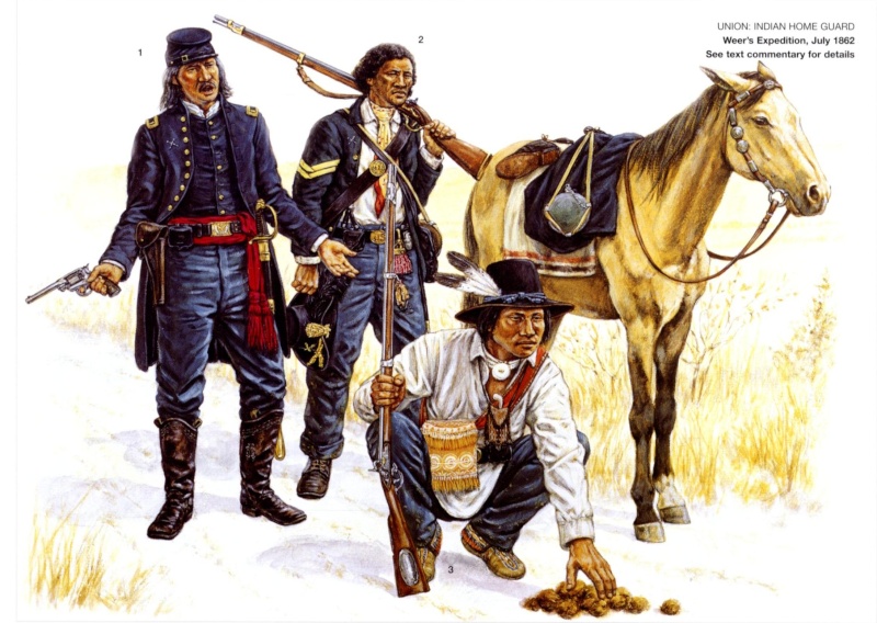 Les Amérindiens dans la guerre de sécession 1110