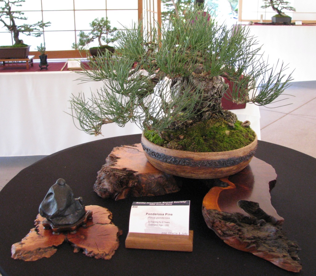 RMBS 2018 Rocky Mountain Bonsai and Stone Show Img_3110
