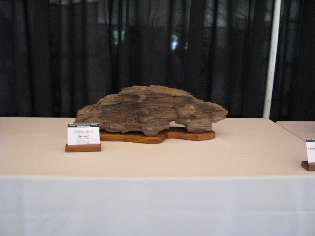 Arizona Petrified Wood Suiseki – Viewing Stone Img_3410