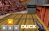 Double Duck Duck210