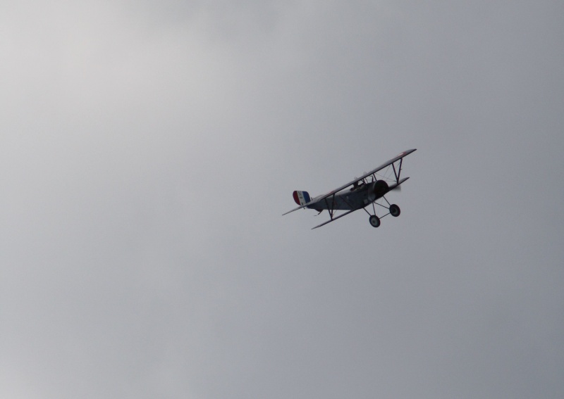 Nieuport 11 von Simprop/Great Planes/Hobby King 1610