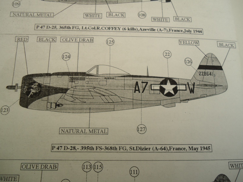 La chute du 3ème Reich : thème 1 : L'offensive diurne P-47d_19
