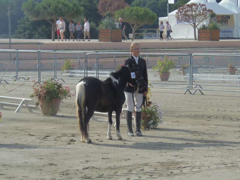Sologn'Pony 2013 P8220111
