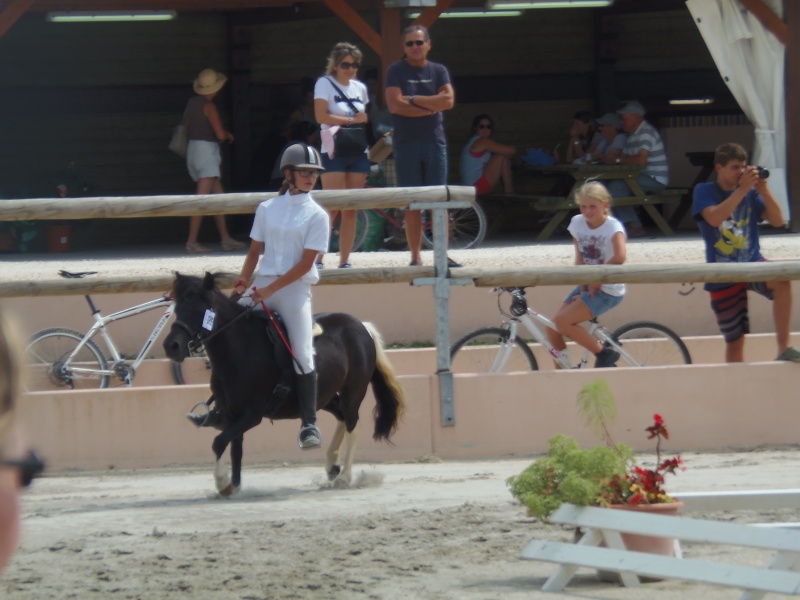 Sologn'Pony 2013 P8220112