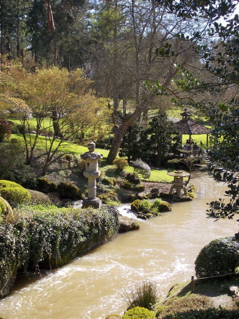 le parc oriental de maulévrier au printemps  Dscn7031