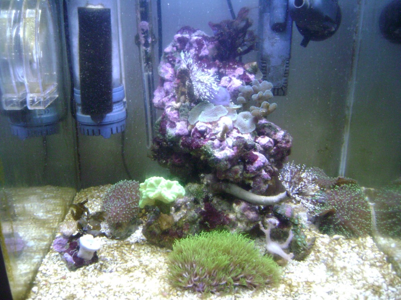 60 litres en cour de creation Bac10