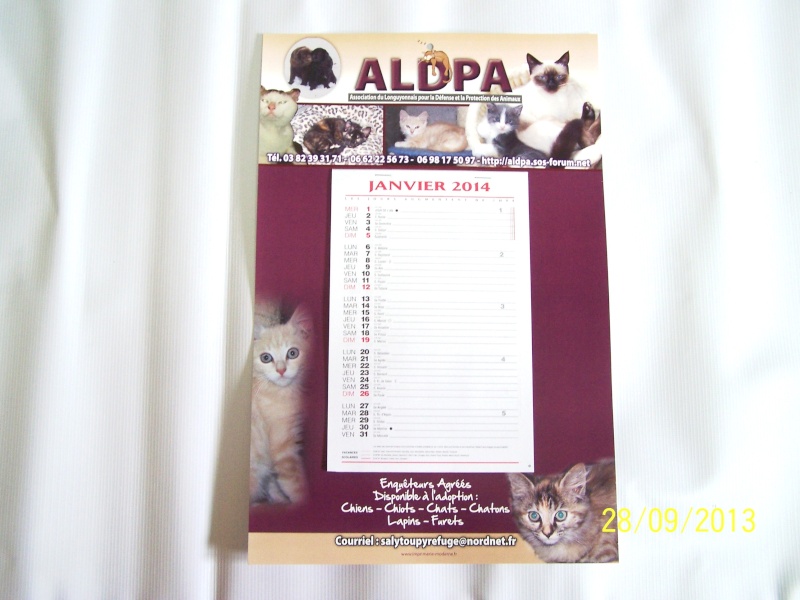 calendrier 2014 au profit du refuge ALDPA Chats10