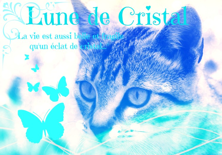 ♥~Lune de Cristal~♥ Cat_in10