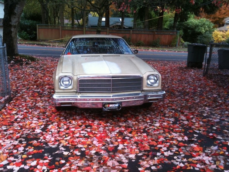 New paint is finally on my 74 Malibu Nov_3r11