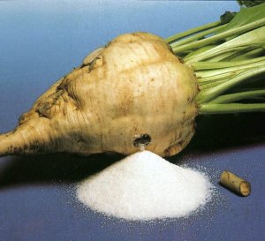 Buyer  COMMODITY: White beet root sugar Sugarb10