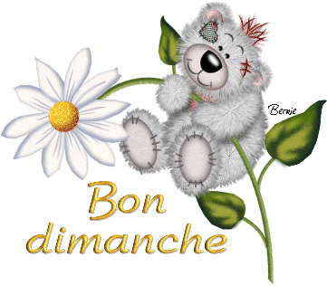 bonzour bonne zournée et bonne nuit notre ti nid za nous - Page 38 Dyn00910