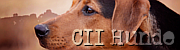 Butter Biscuit Banner12