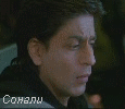 Нет новых сообщений Нет новых сообщений