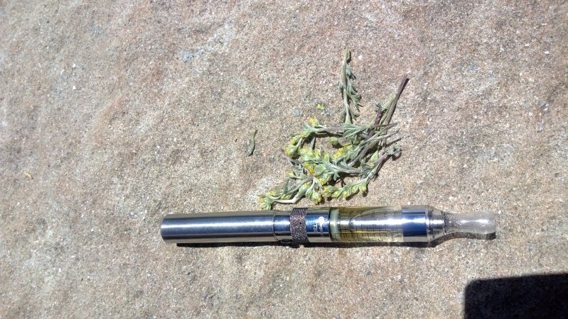 Vapaysages Wp_20110