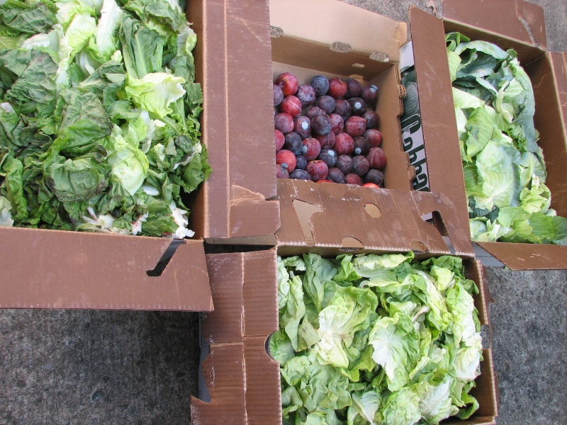 Compost material from grocery store Gorcer10