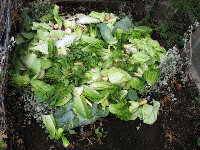 Compost  material from grocery store Grocer13