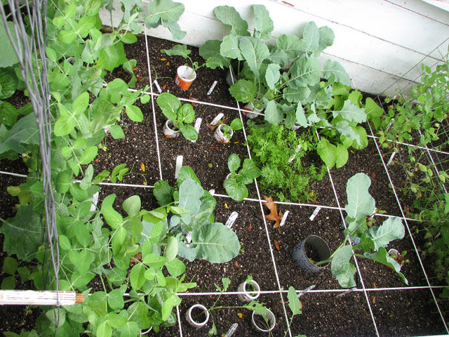 It's September how's your garden doing? Sept1310