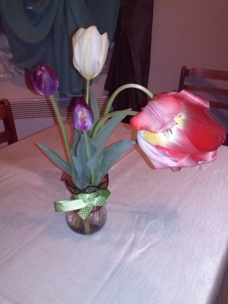 tulipes 2013 - 2014 Cam00611