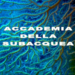 Accademia della Subacquea Accade12