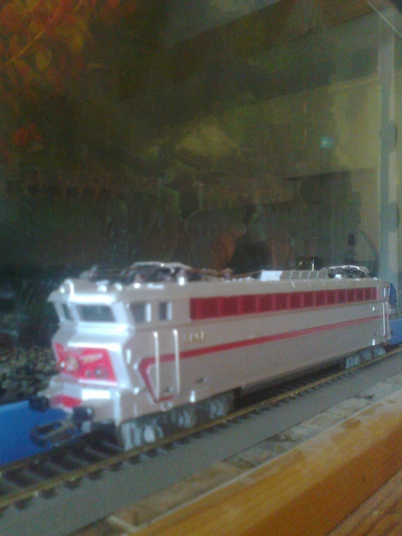 Mon parc de locomotives dont ma préféré la CC 060 BD. Photo021