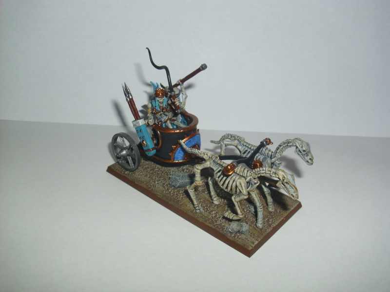 Warhammer Fantasy 28 mm Dsci0047