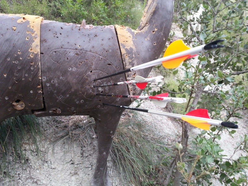 Aurel Archery : des flèches venues d'Allemagne 20130815