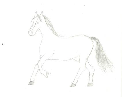 Ein paar Zeichnungen Pferdd10