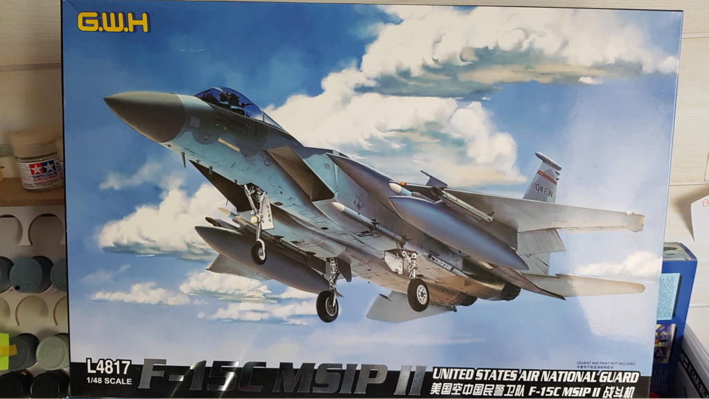 F-15C Aggressor splinter camo 1/48 GWH 20190516